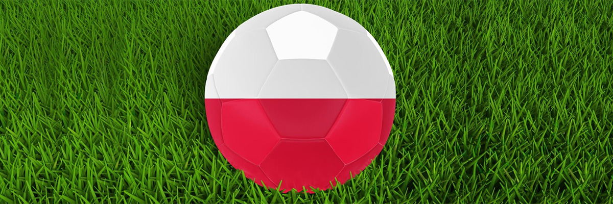 Polityka wydawnicza Polska euro2024. 